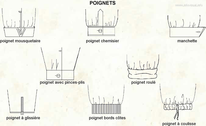 Poignet (Dictionnaire Visuel)